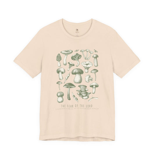 The Fear Of The Lord