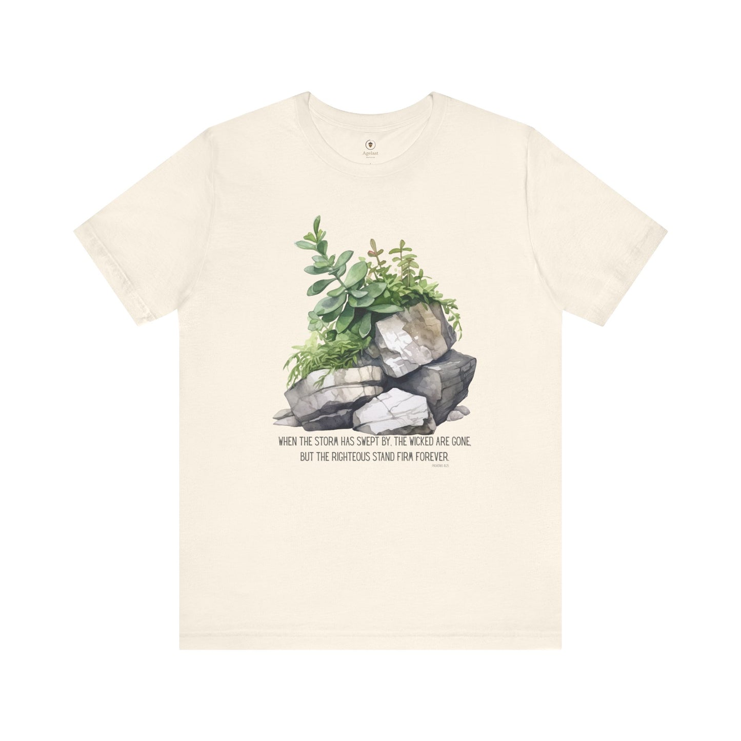 When The Storm Has Swept By T Shirt