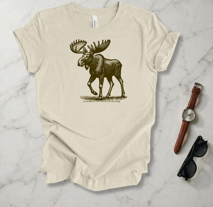 For By Him All Things Were Created T Shirt