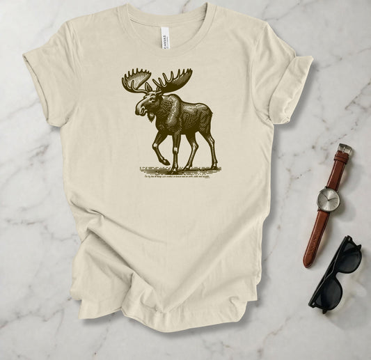 For By Him All Things Were Created T Shirt