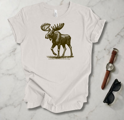For By Him All Things Were Created T Shirt