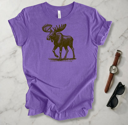 For By Him All Things Were Created T Shirt