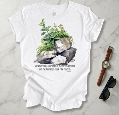 When The Storm Has Swept By T Shirt