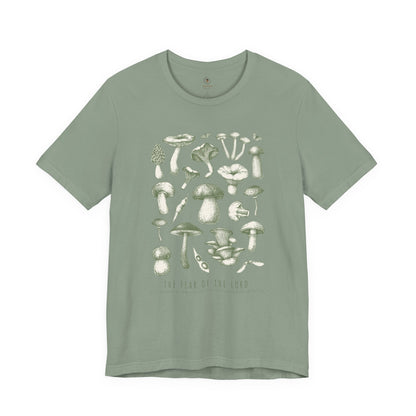 The Fear Of The Lord