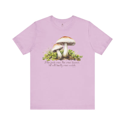 Pride Comes Then Disgrace T Shirt