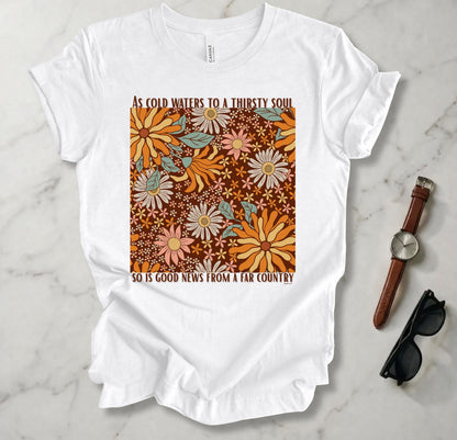 Cold Water To A Thirsty Soul T Shirt